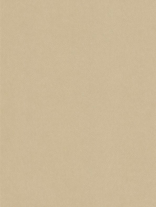 CoverStyl Cashmere NE42