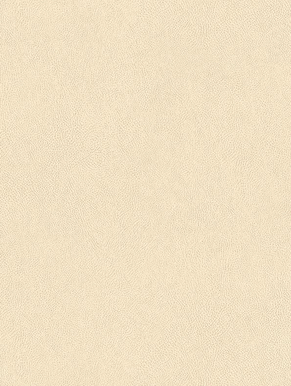 CoverStyl Cream NE43