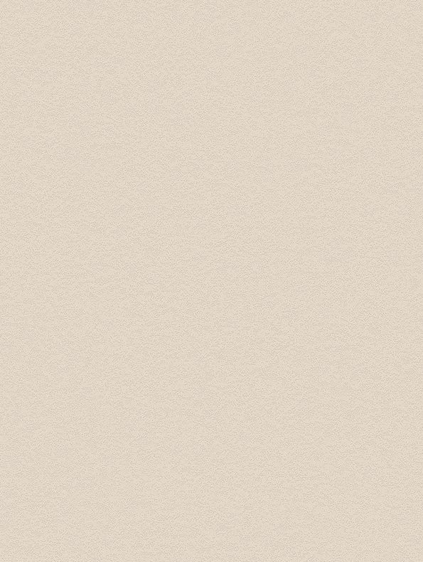 CoverStyl Snowflake Stucco NH49