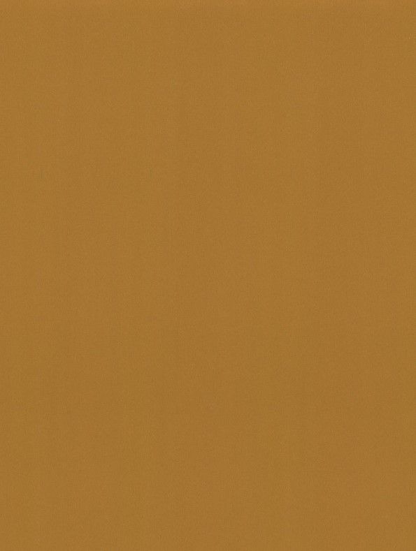 CoverStyl Hard Gold Q3