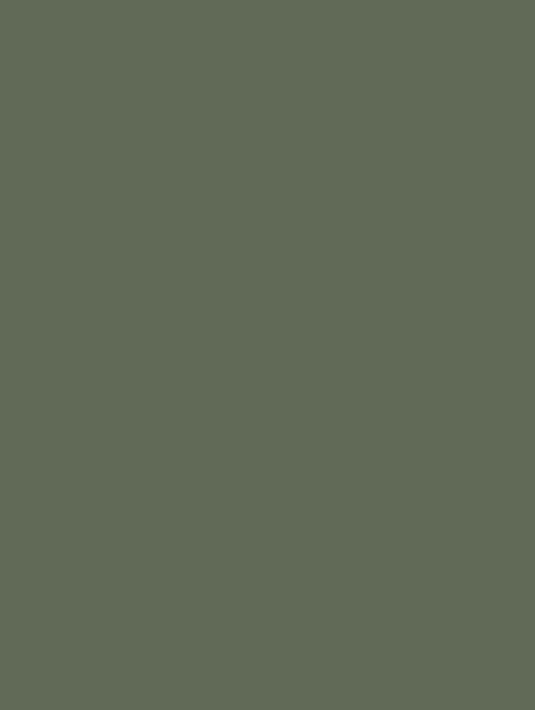 Coverstyl Sage Green RM20