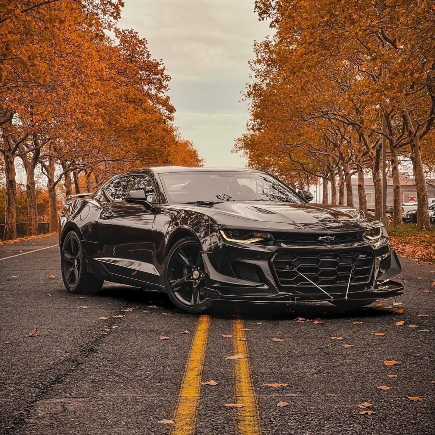 TeckWrap Gloss Metallic Vinyl Wrap (MT-HD) with plastic liner MT01 - Coal Black