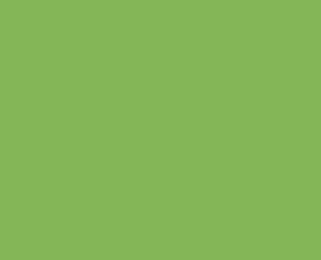 folie geam verde lime