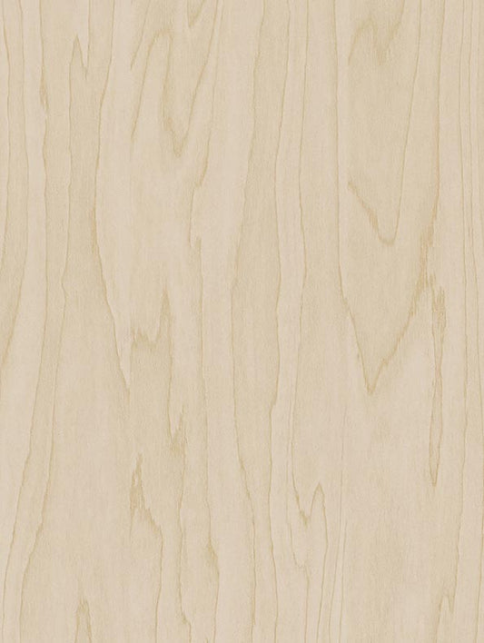 CoverStyl Gold Pale Birch CT19