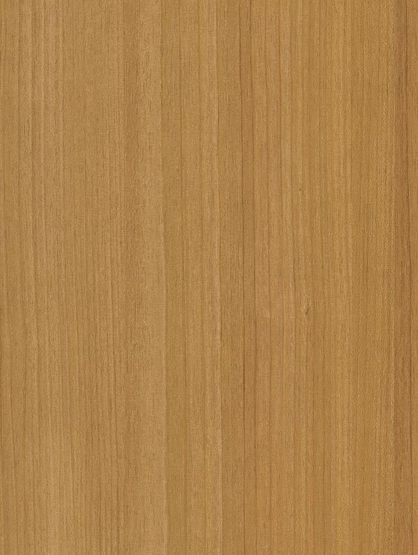 CoverStyl Honey Birch CT22