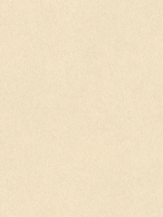 CoverStyl Cream NE43