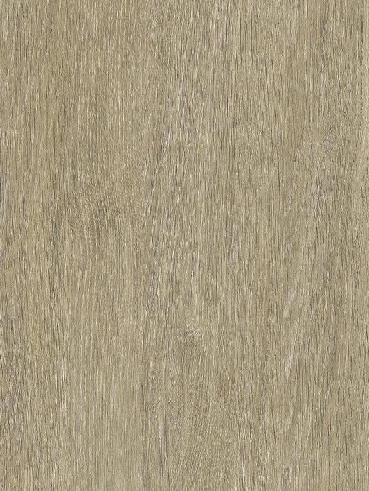 CoverStyl Bleached Grey Oak NF44