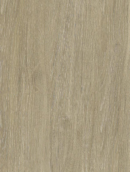 CoverStyl Bleached Grey Oak NF44