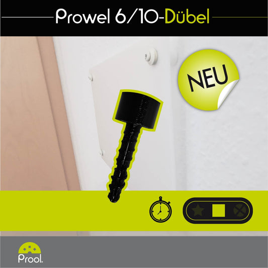 PROWEL Pin de fixare 6 mm + distantier 10 mm