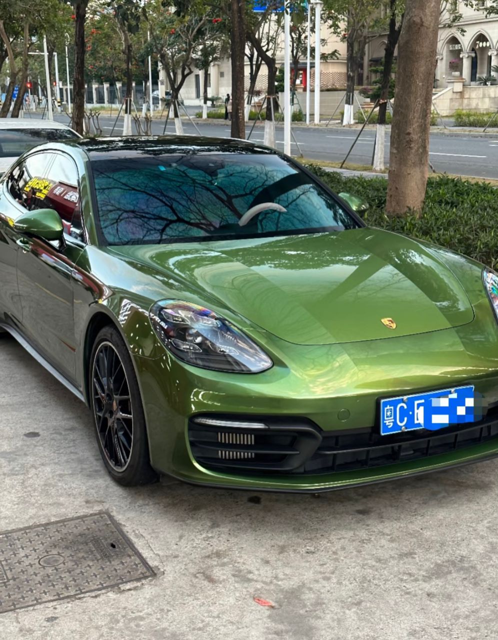 VIbrance Mamba Green PPF